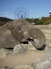 $東京医薬　歯科衛生士科のブログ