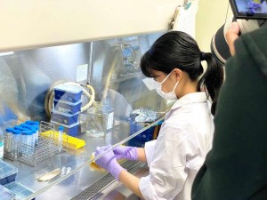 ４その研究所で、RNAの抽出と、RT-PCRによる解析をメインで担当しながら、日々研究技術と知識を身に着けています